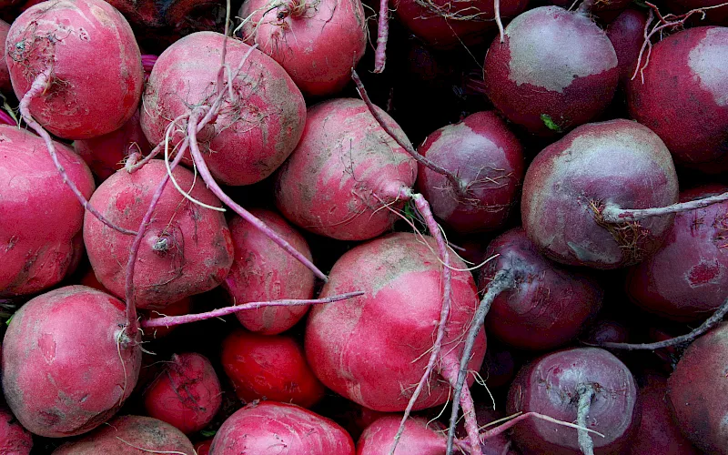 Professional Development