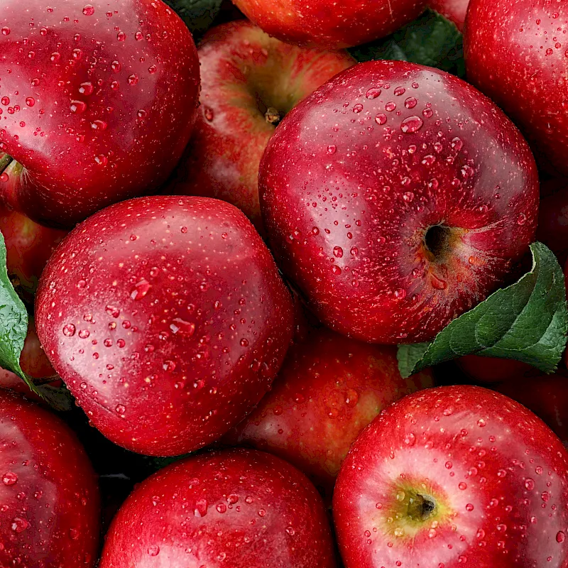 adobestock_236881295