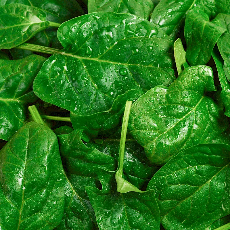 adobestock_251597965