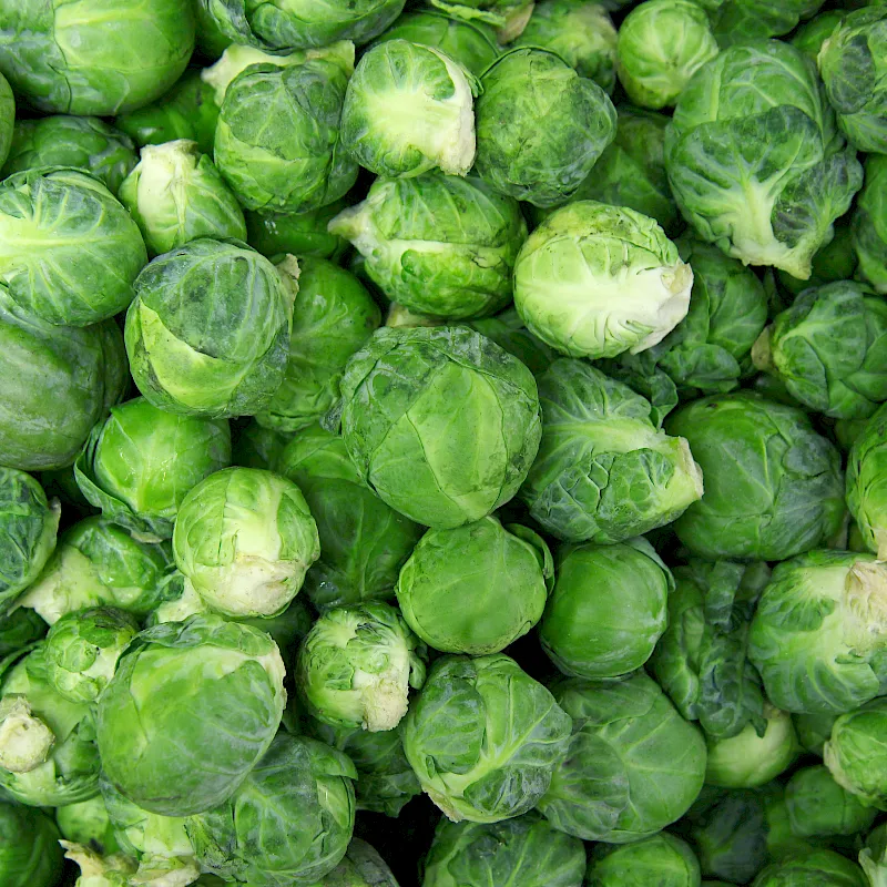 adobestock_241085377